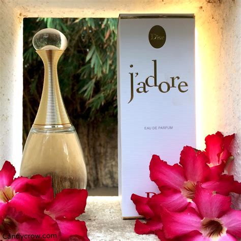 j'adore.com dior review|Dior j'adore perfume reviews.